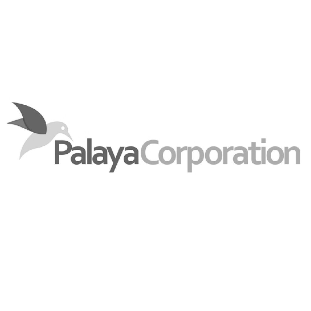 Spark - Palaya Corporation